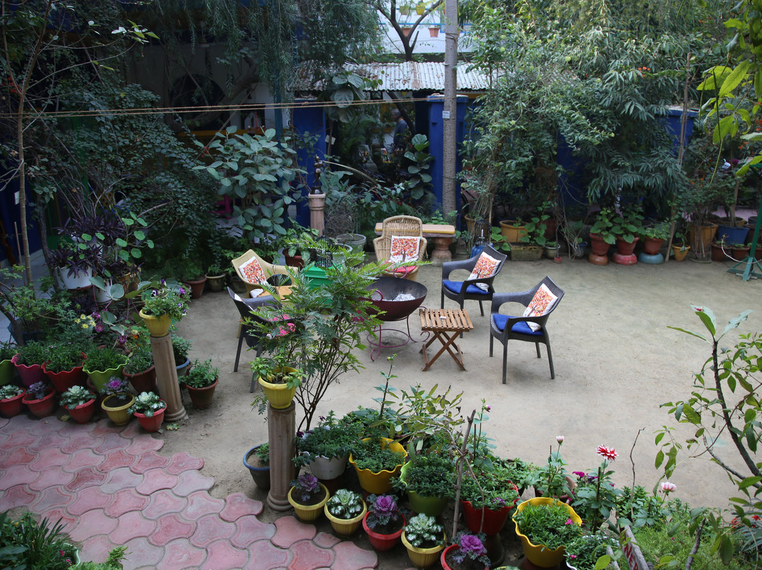 The Coral Tree主图