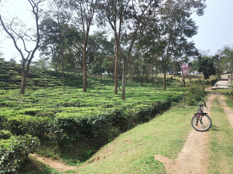 Koliabur Manor主图