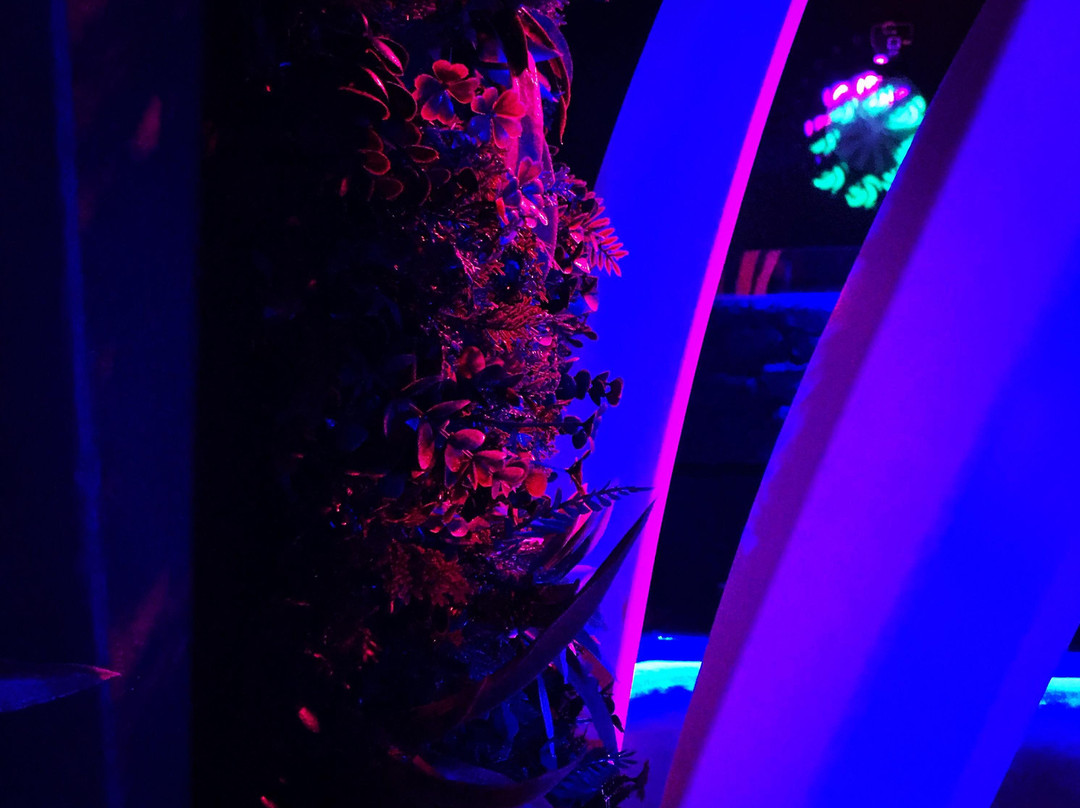 Diana Club-Léros必去景点