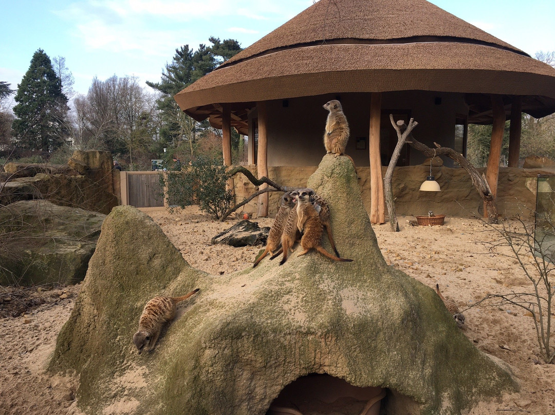 Krefeld Zoo景点图片