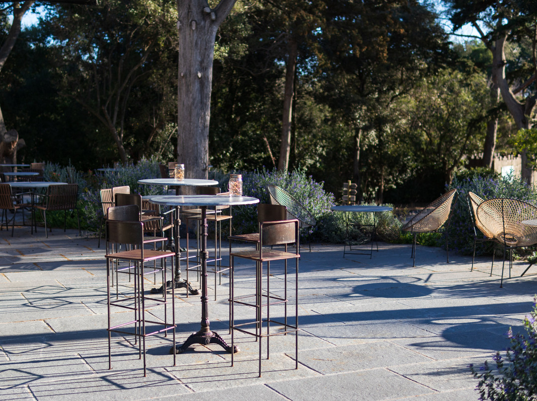 Domaine Tarbouriech主图