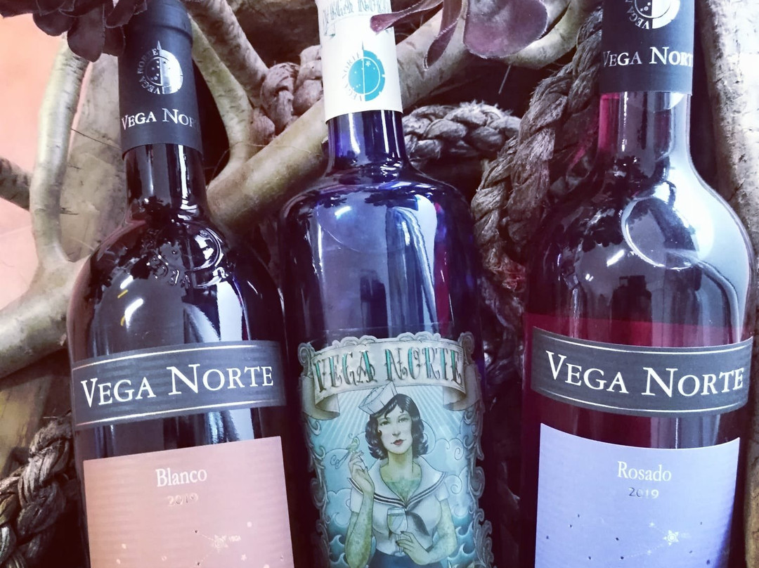 La Vinoteca de Vega Norte景点图片