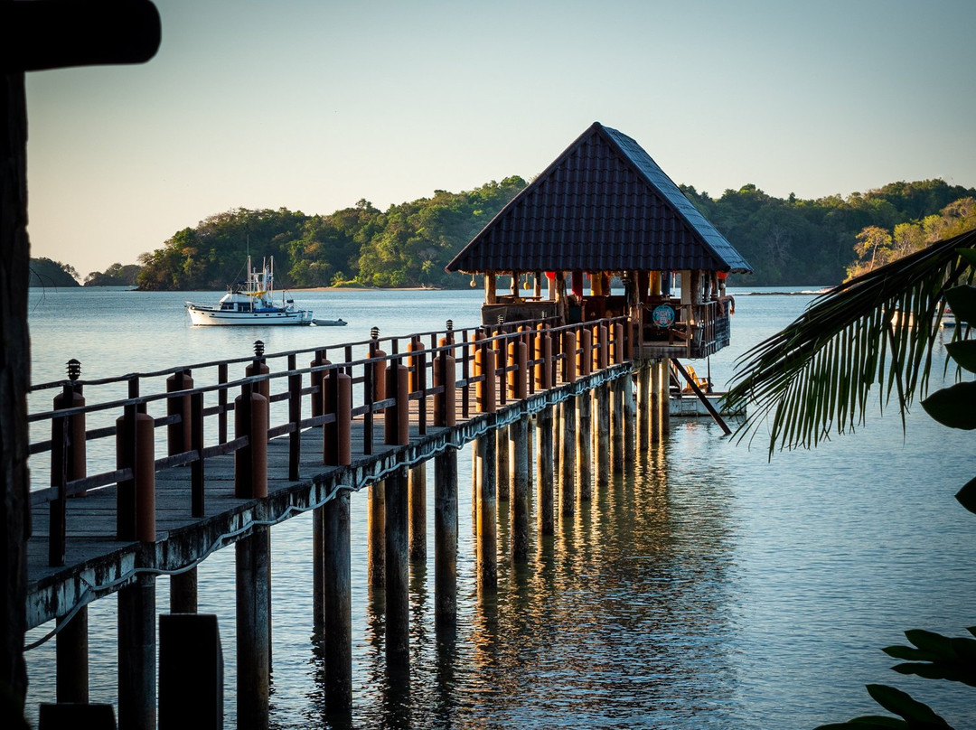 Seagull Cove Resort主图