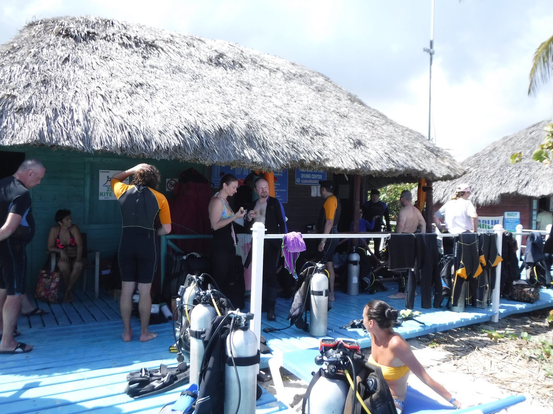 Melia Cayo Coco Diving Center景点图片