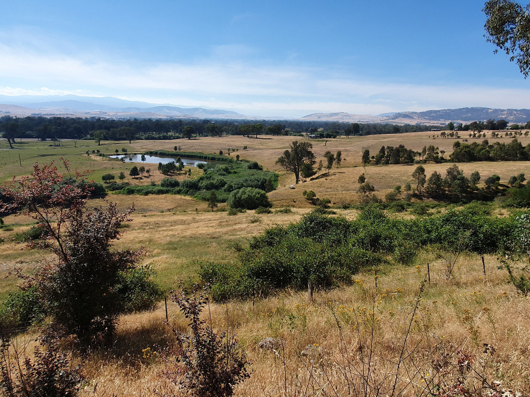 Jim Newman's Lookout