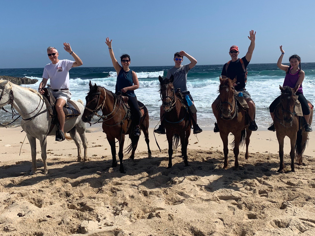 Rancho Notorious Aruba-Noord必去景点