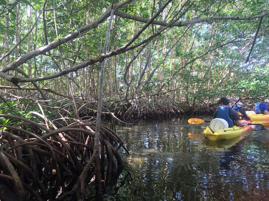 TI-Evasion Kayak de mer en Guadeloupe-Pointe-a-Pitre必去景点