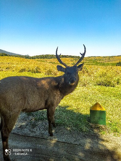 Sri Lanka Insta Tours-卡图纳耶克必去景点