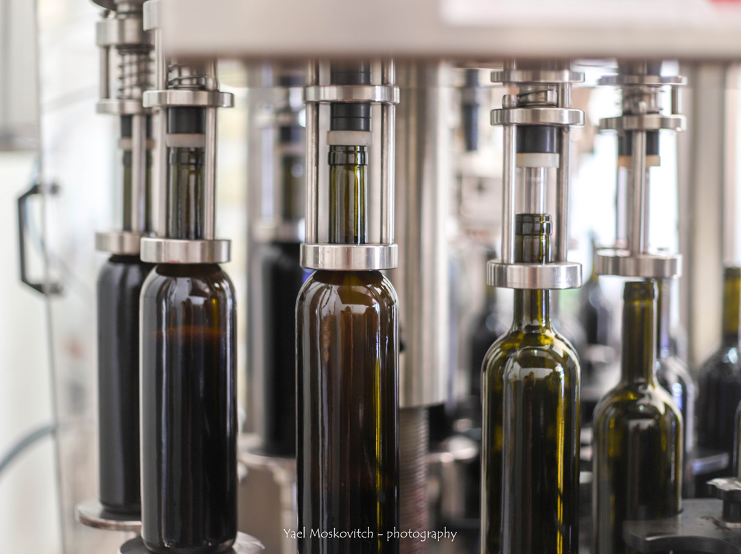 Ramat Negev Winery-Kadesh Barnea必去景点