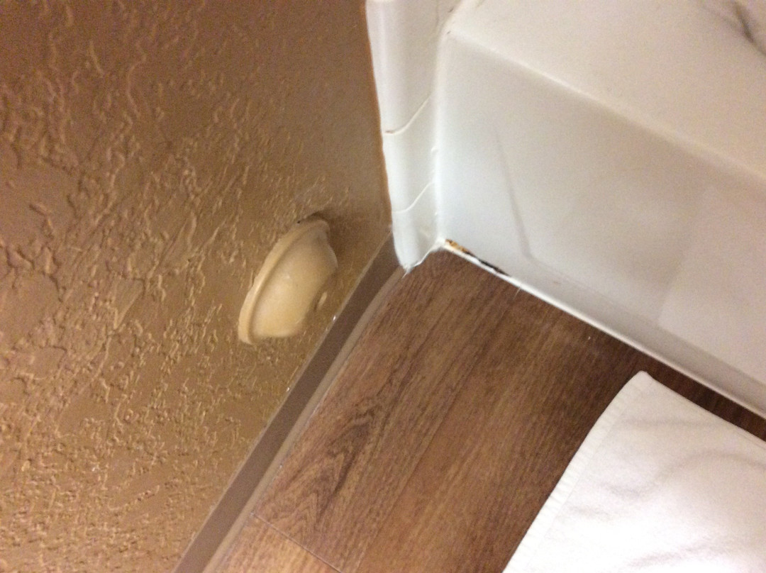 Extended Stay America - Fort Lauderdale - Davie主图