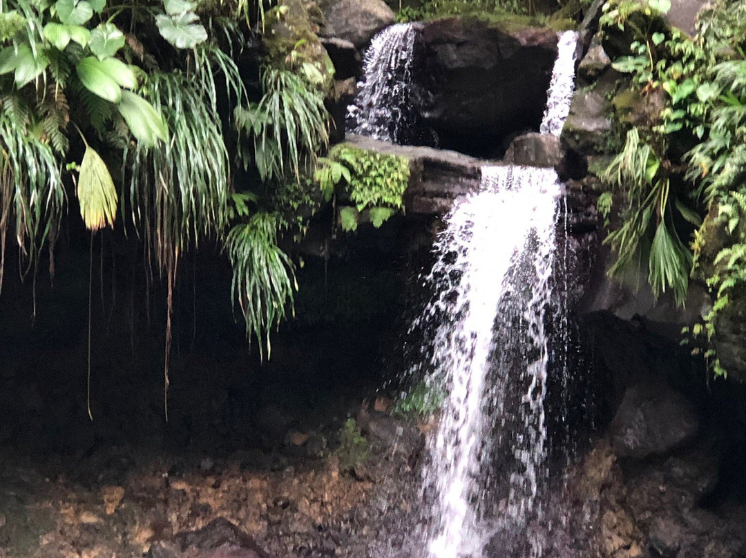 Bassin Paradise-Capesterre-Belle-Eau必去景点