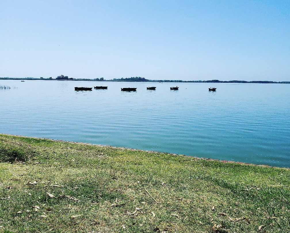 Laguna de Lobos景点图片