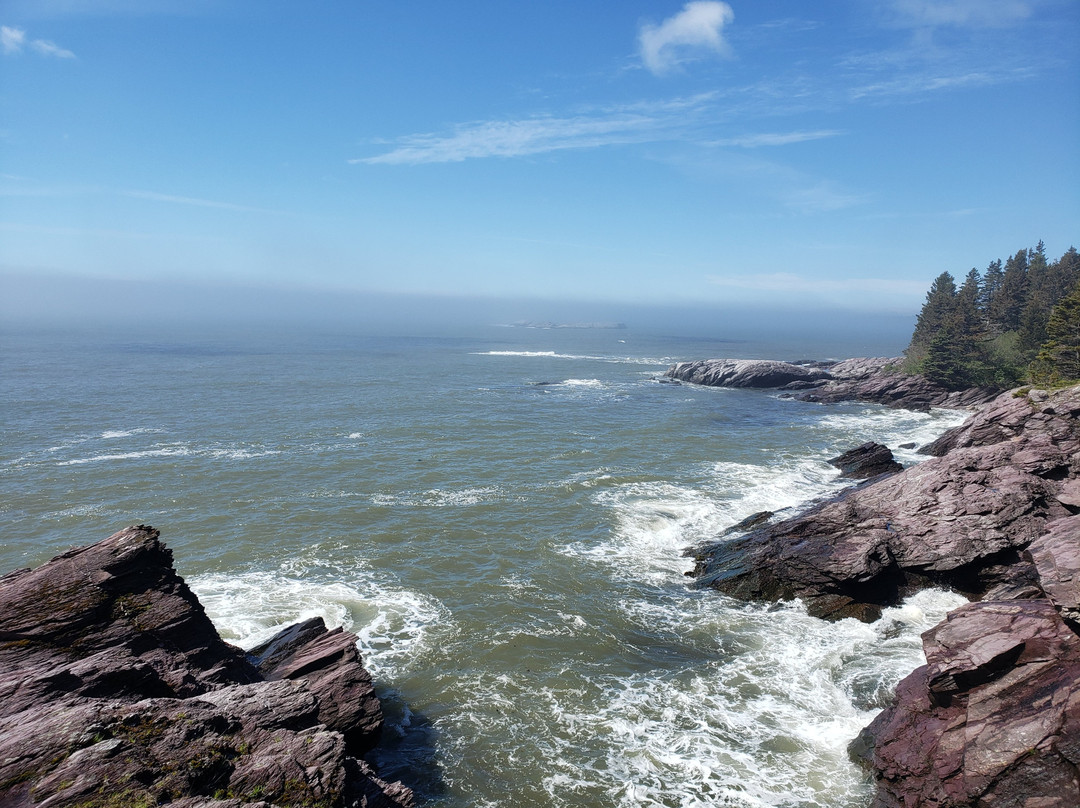 Belding's Reef Nature Preserve-Chance Harbour必去景点