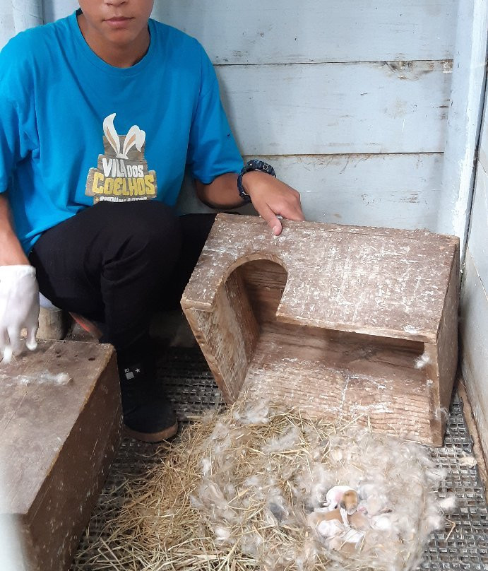 Vila dos Coelhos-Cotia必去景点