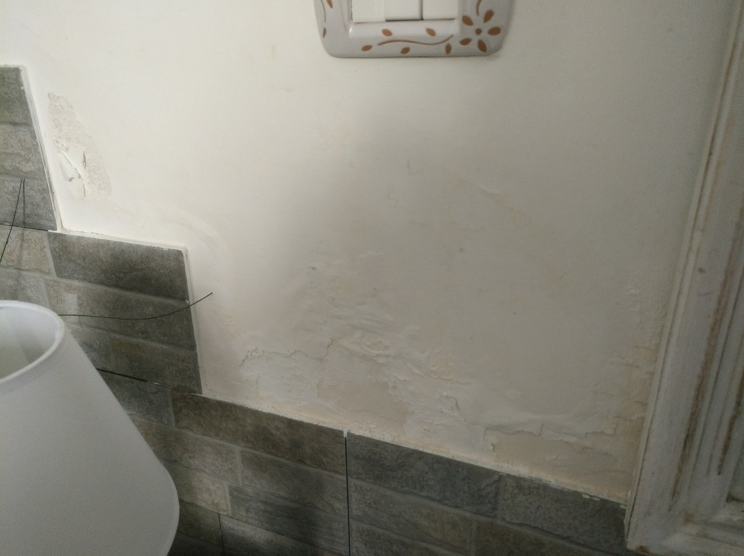 Lady B Bed & Breakfast主图