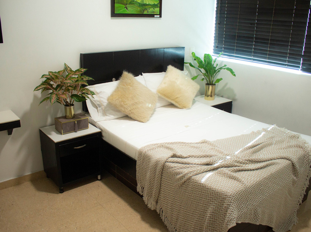 Hotel Central Plaza Medellin主图