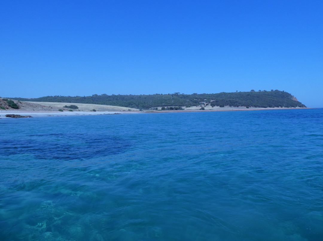 Kangaroo Island Marine Adventures景点图片