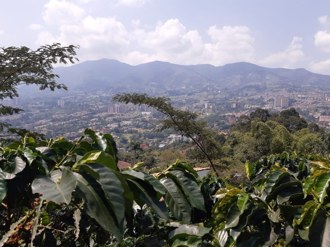 Colombia Coffee Tour-麦德林必去景点