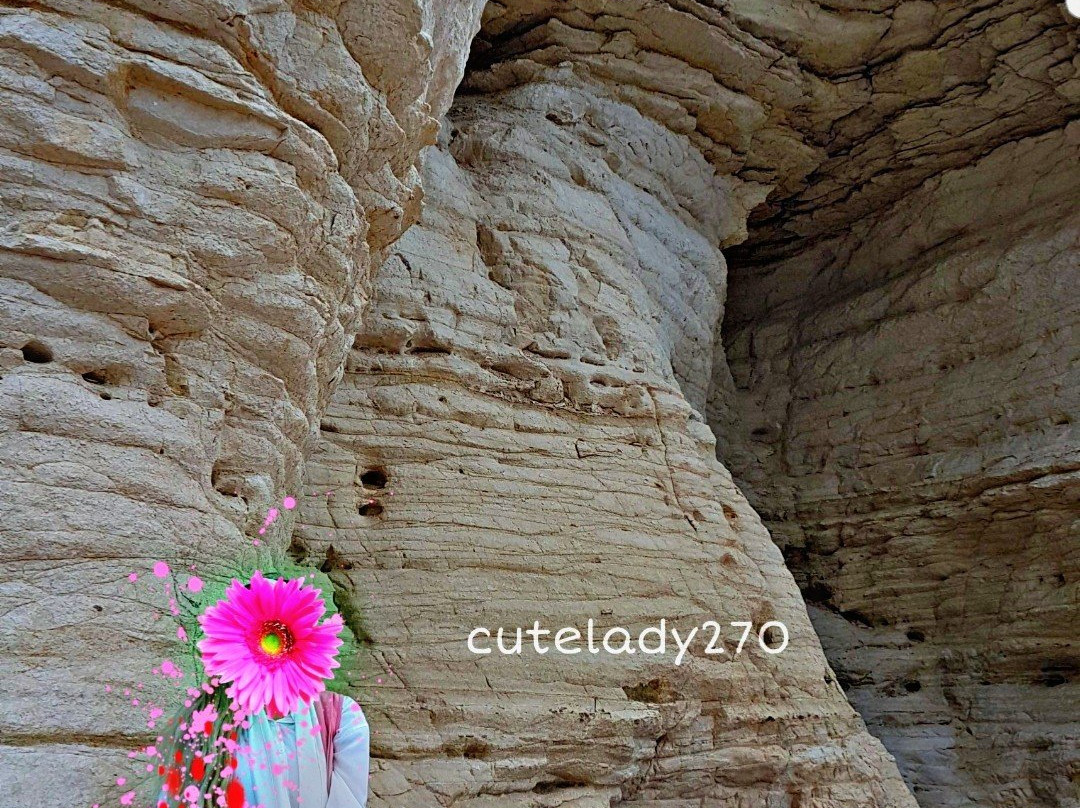 Pebble Beach-马斯喀特必去景点