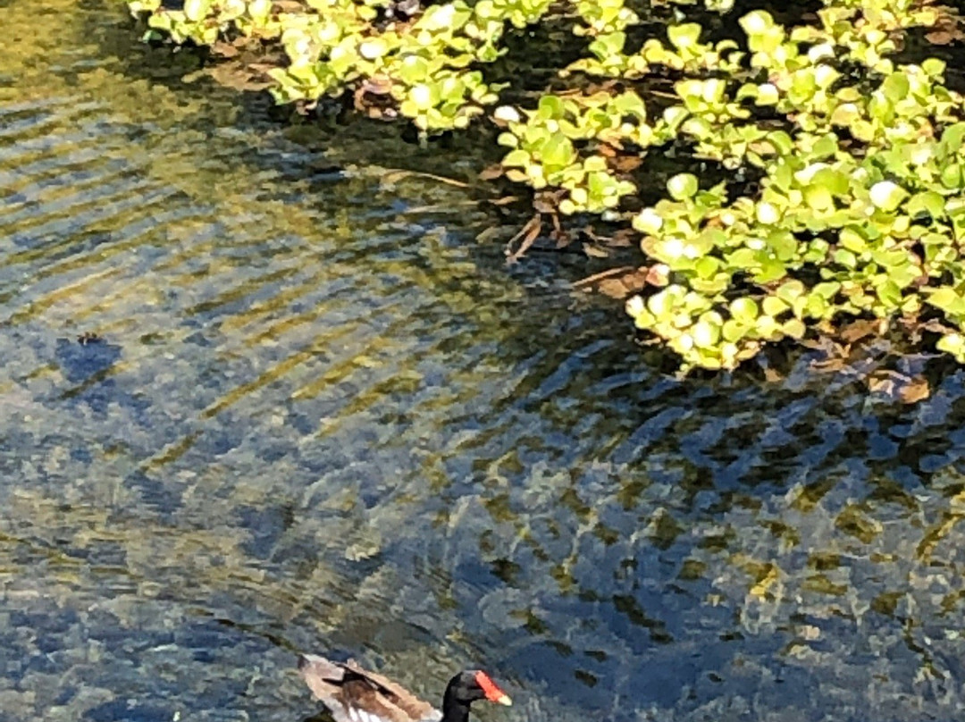 Cooter Pond Park-因弗内斯必去景点
