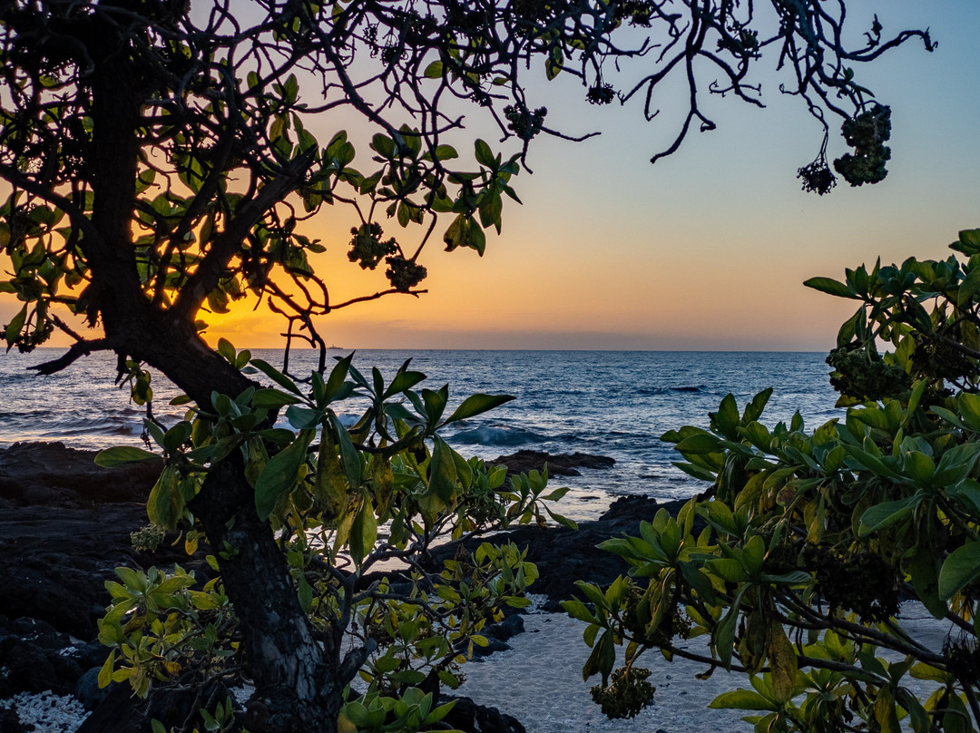 Kohanaiki Beach Park-凯鲁瓦-柯纳必去景点