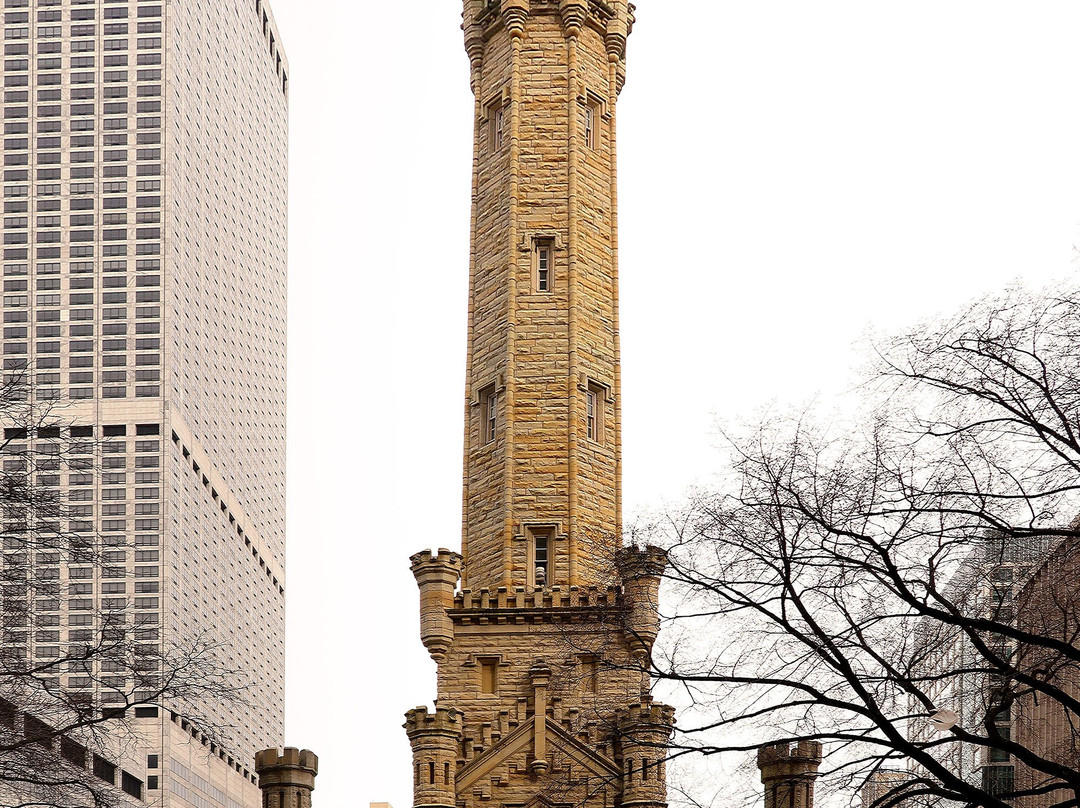 Historic Water Tower景点图片