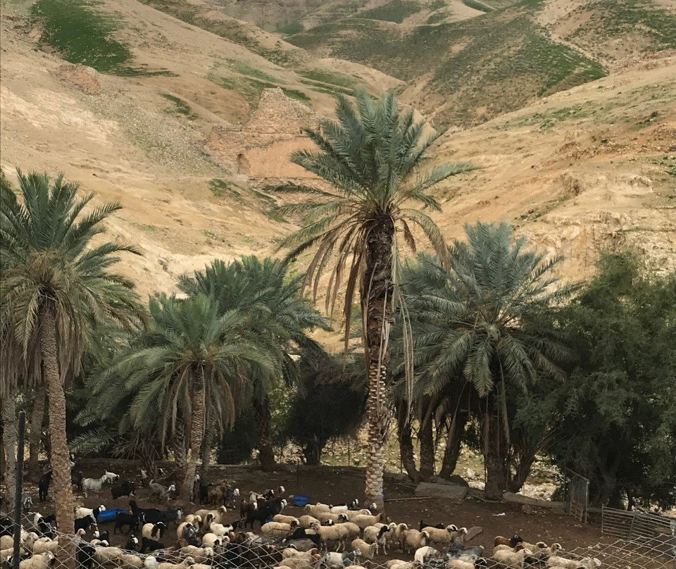 Ayat Palestine Tours-Hebron必去景点