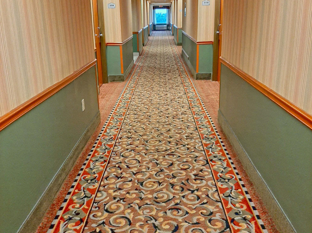 Holiday Inn Express & Suites Pembroke Pines-sheridan St By IHG主图