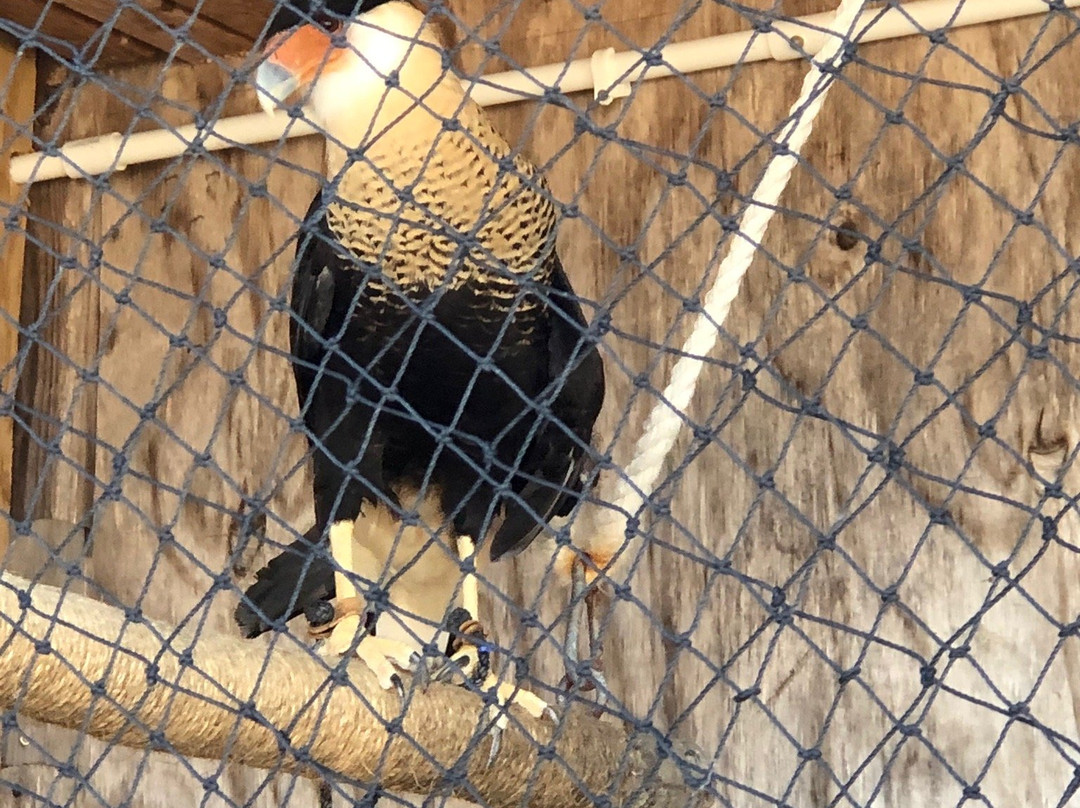 Texas Sealife Center-科珀斯克里斯蒂市必去景点