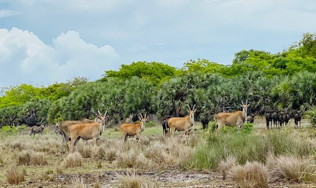 杜艮海滩旅舍主图