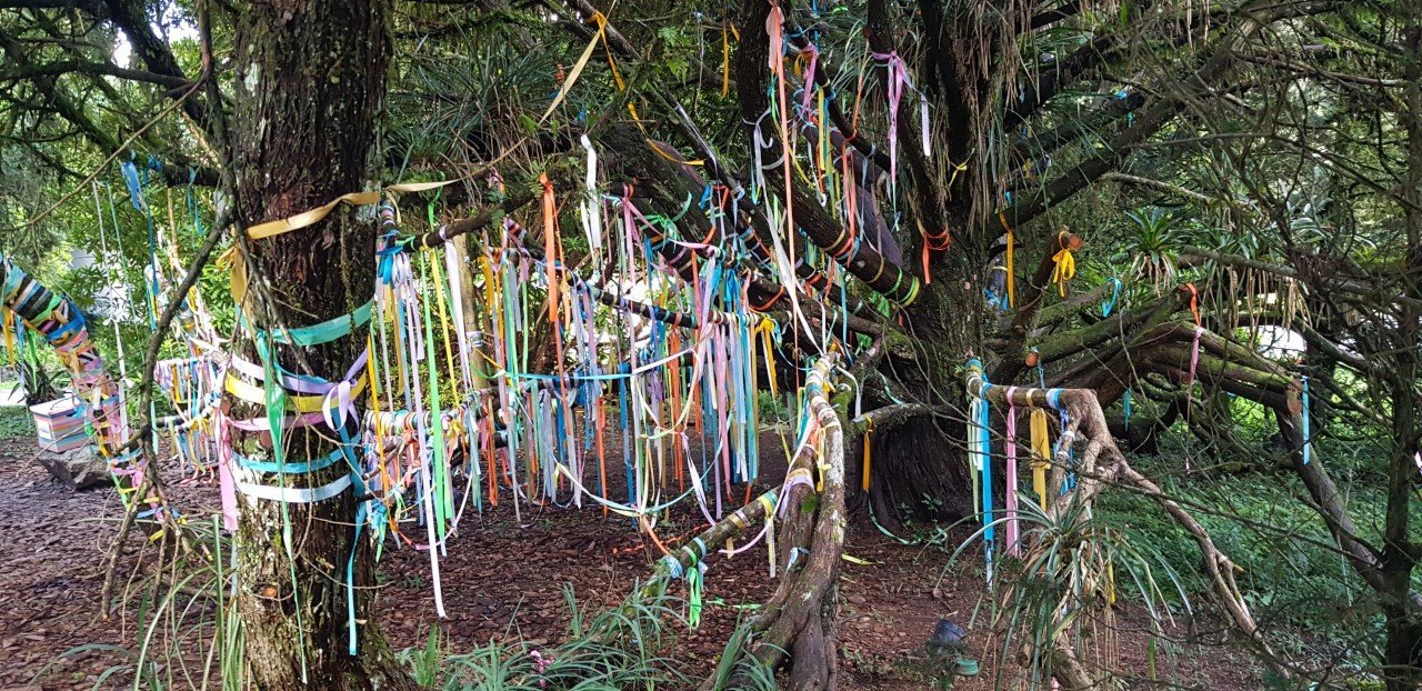 特丽巴酒店-家庭/游戏区