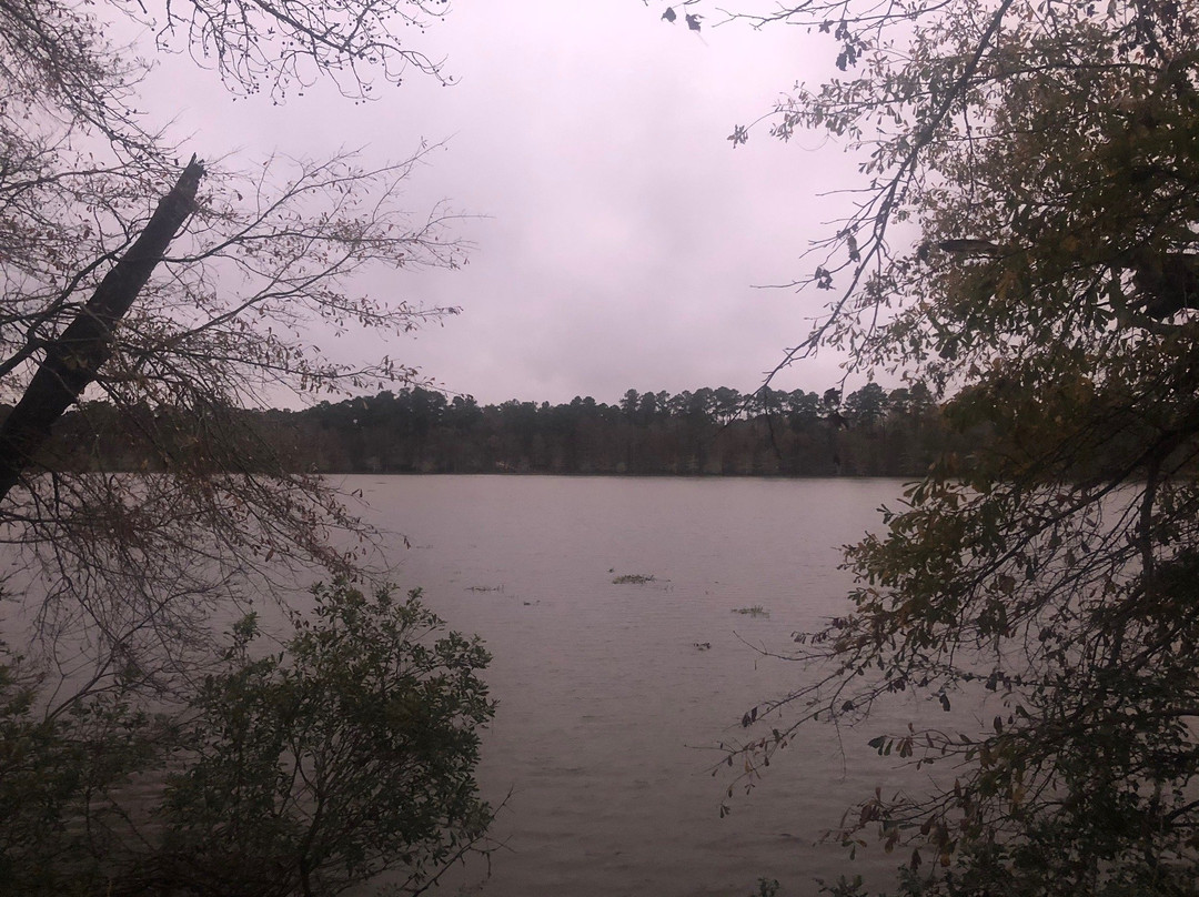 Sandy Creek-Jasper必去景点