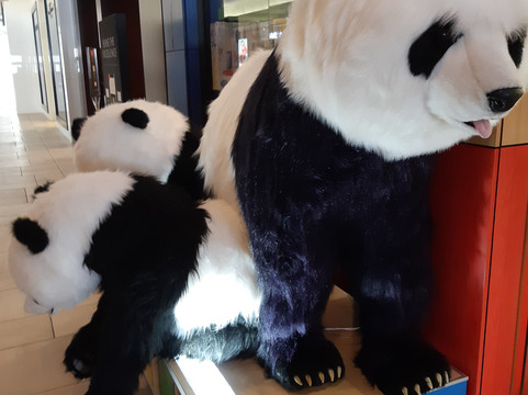 湾景村购物中心-多伦多必去景点