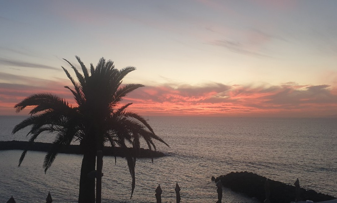 Bar El Canario-奥德杰海岸必去景点