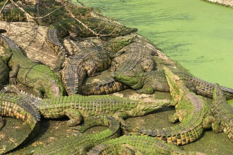 AIM CAPE TOURS(Pty)Ltd-开普敦中心区必去景点