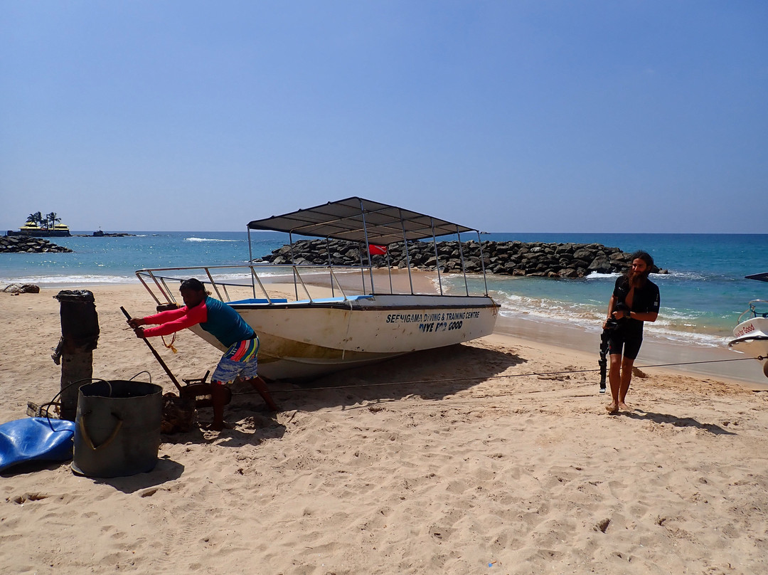 Dive Seenigama Dive Lanka-希克杜沃必去景点