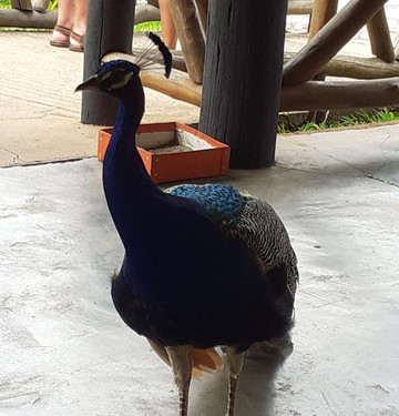 Hotel Estancia Bonanza主图