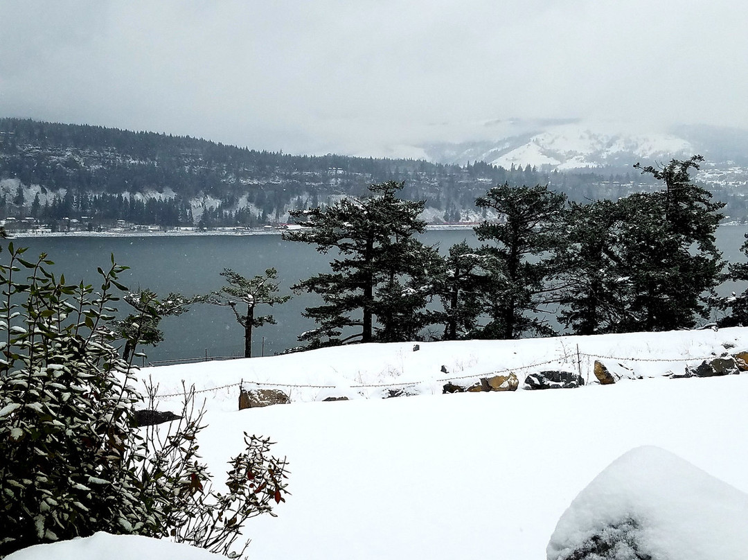 Columbia Cliff Villas Hotel主图