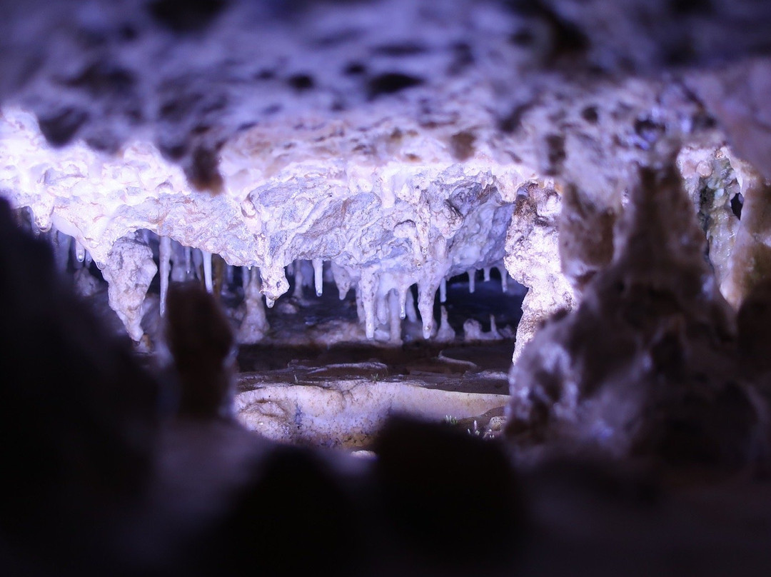 Great Limestone Cave of Hida and Ohashi Collection Museum-高山市必去景点