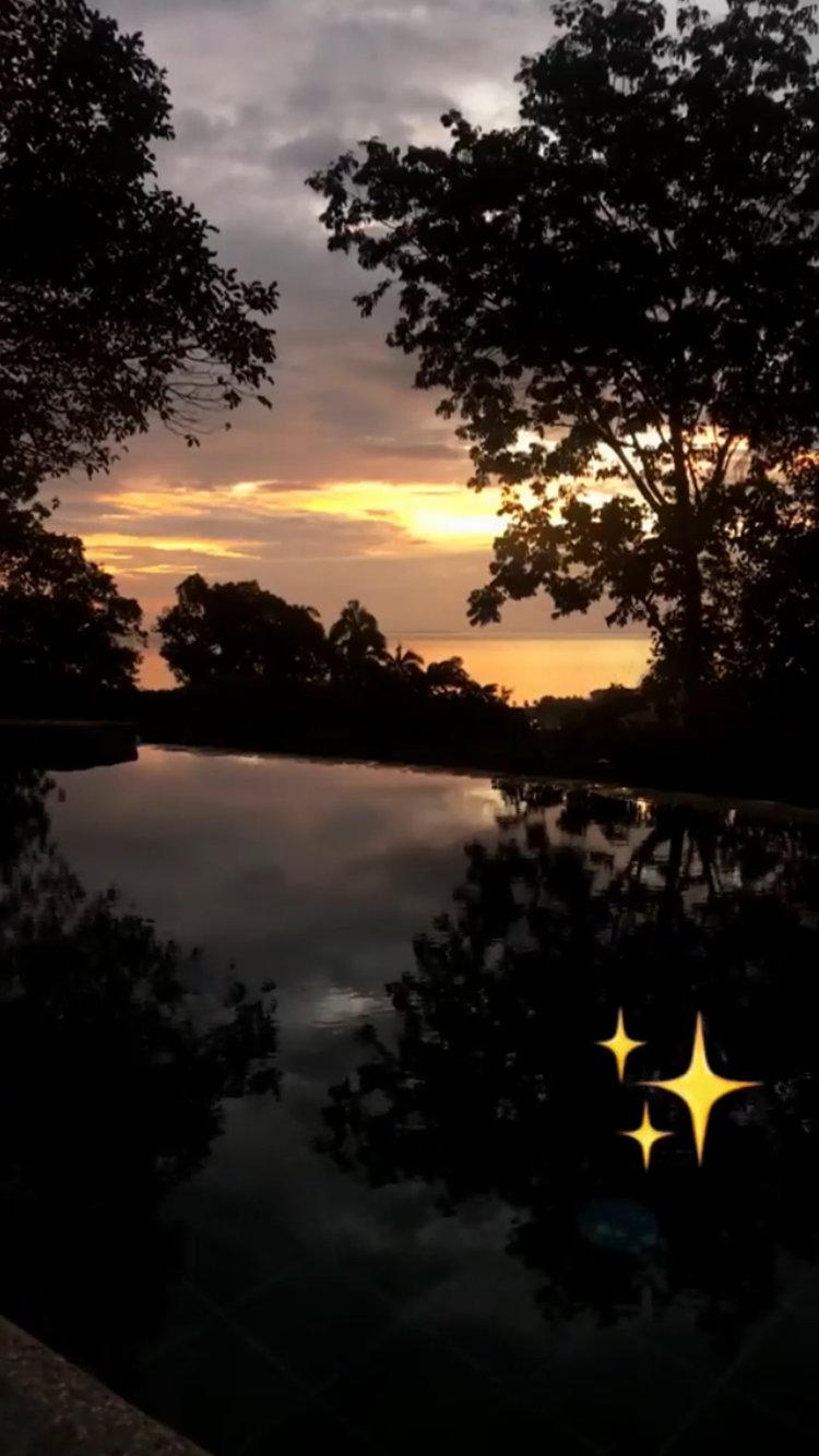 Marquis Garden Eco Cottages-泳池