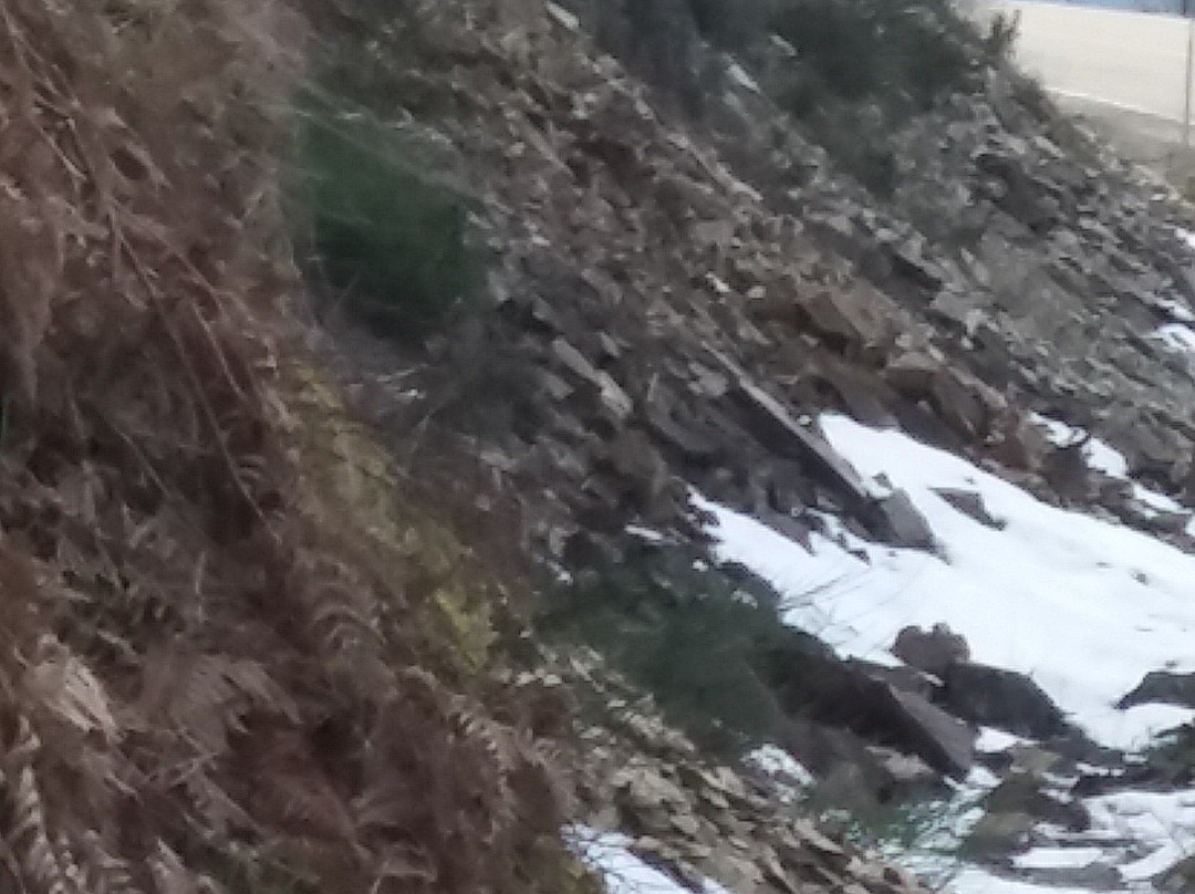 Hotel O Cebreiro主图