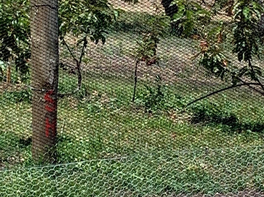 Sorell Fruit Farm-索雷尔必去景点