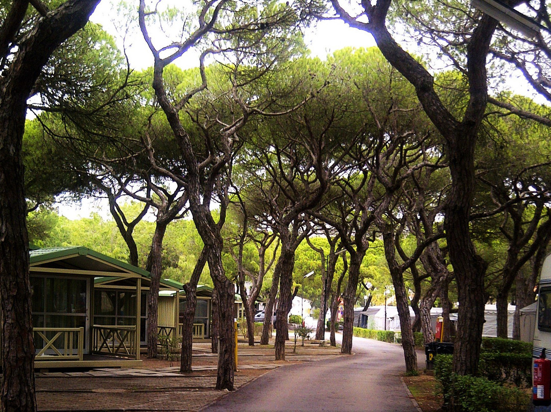 坎皮斯莫奥比图尔卡帕里卡海岸公园旅馆