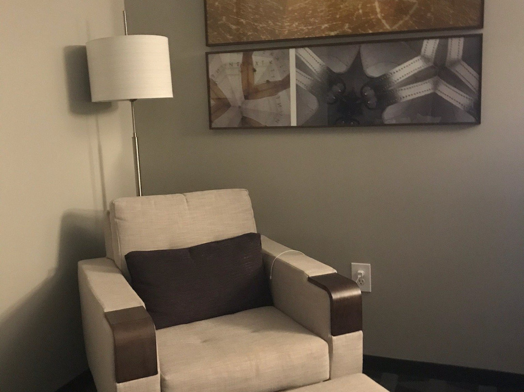 TownePlace Suites by Marriott Charlotte Fort Mill主图