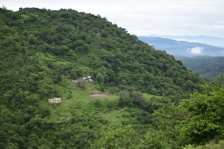 Parque Provincial Potrero de Yala景点图片