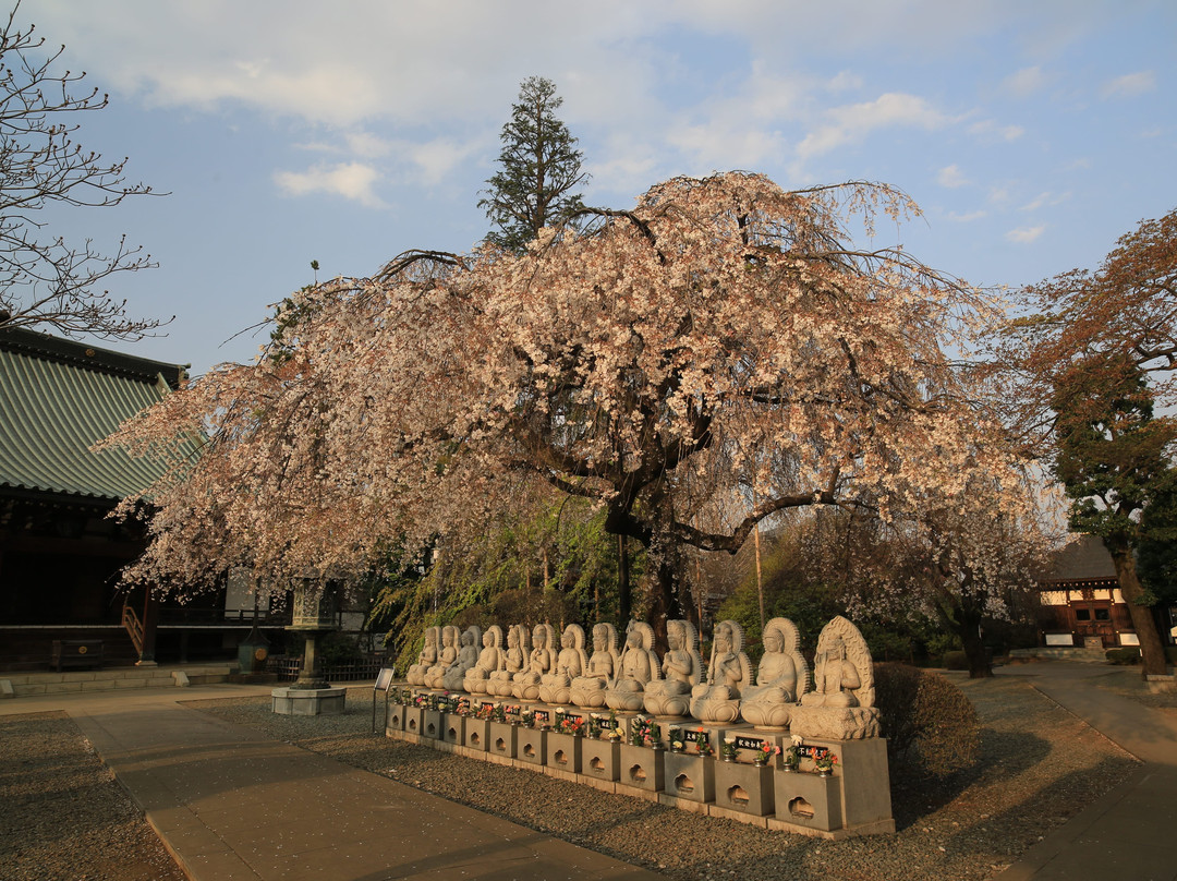 Hodoji-志木市必去景点