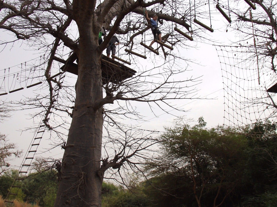 Accrobaobab Adventure景点图片