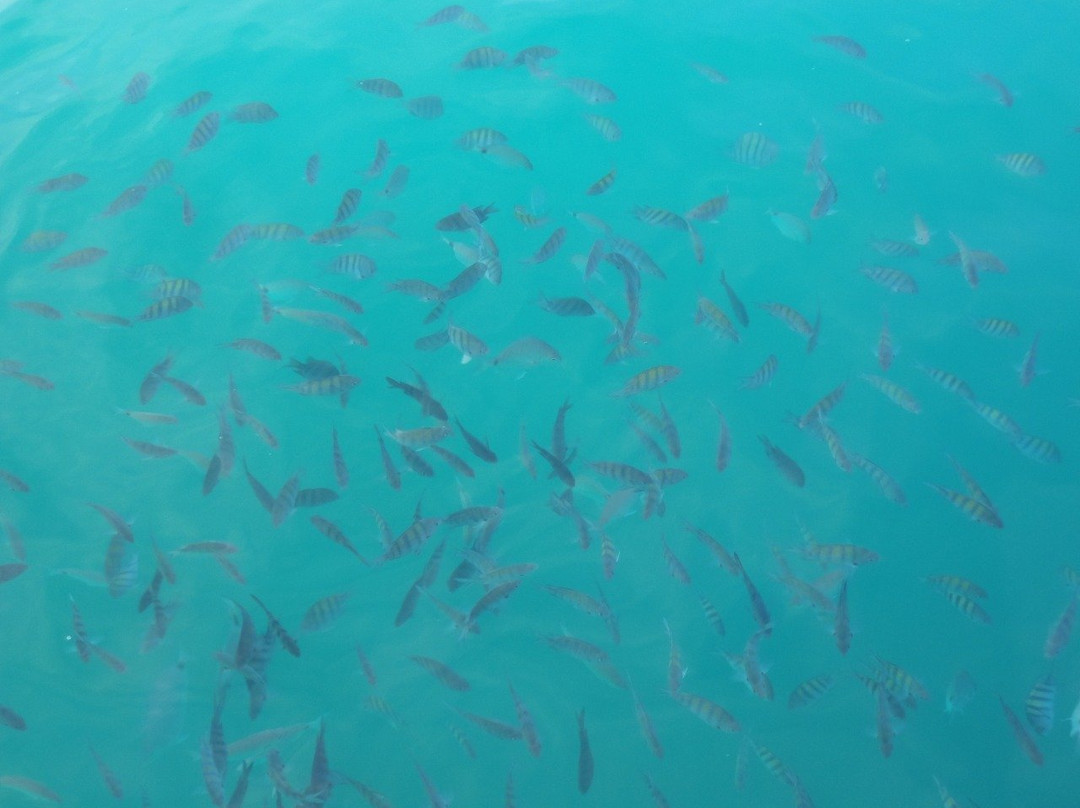 Ilha Comprida-帕拉地必去景点