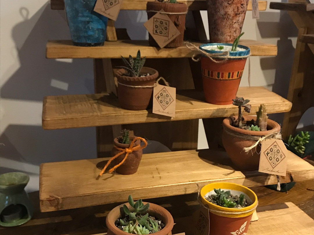 Playa Penuelas-Coquimbo必去景点