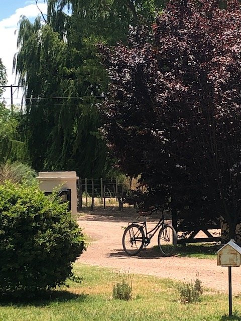 Bodega Chayee Bourras-圣拉斐尔必去景点